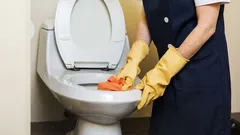 Kako temeljito očistiti WC školjku i postići besprijekornu čistoću u samo nekoliko koraka.